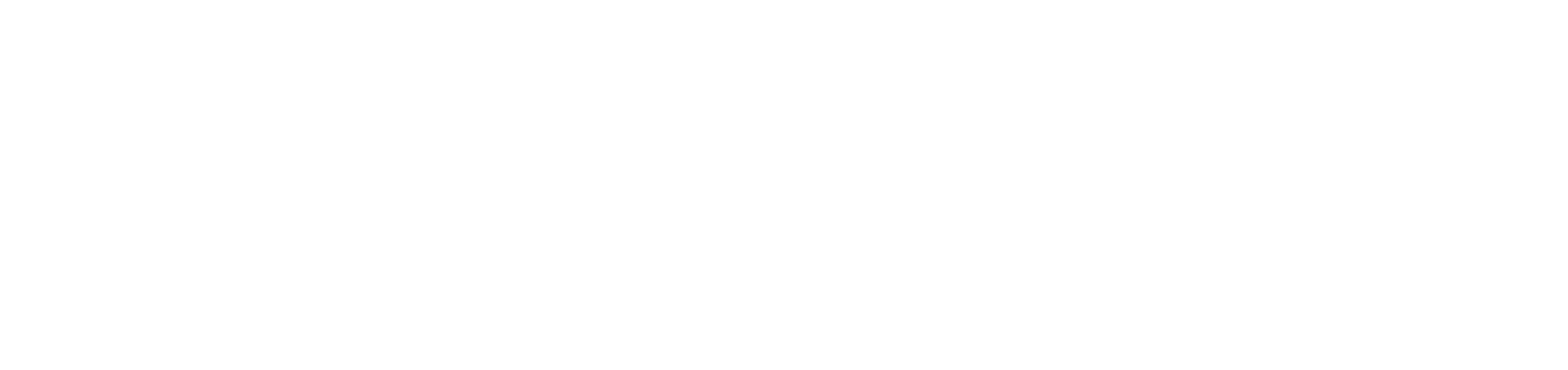Home LOGO ALAMO